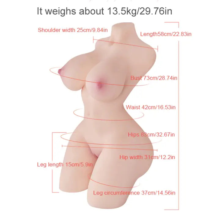 Britney-29.76LB Sexy Half Torso - Anxiety Toys For Men Anxiety Toys For Men Anxiety Toys For Men
